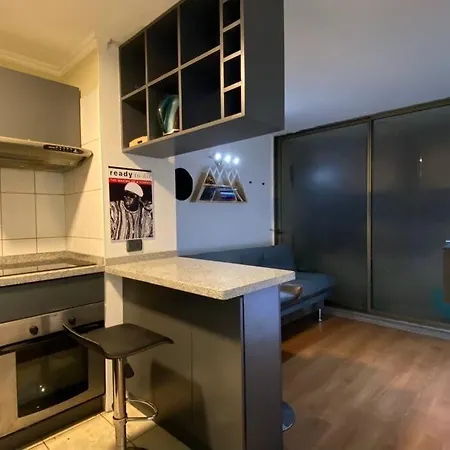 Apartamento Centrico Departamento Santiago 1122